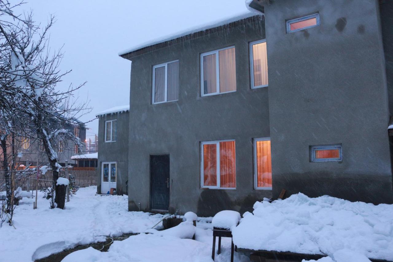 Inga Jafaridze Guesthouse Pele Mestia Dış mekan fotoğraf