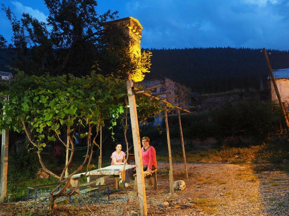 Inga Jafaridze Guesthouse Pele Mestia Dış mekan fotoğraf